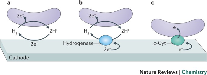 Graphical Abstract