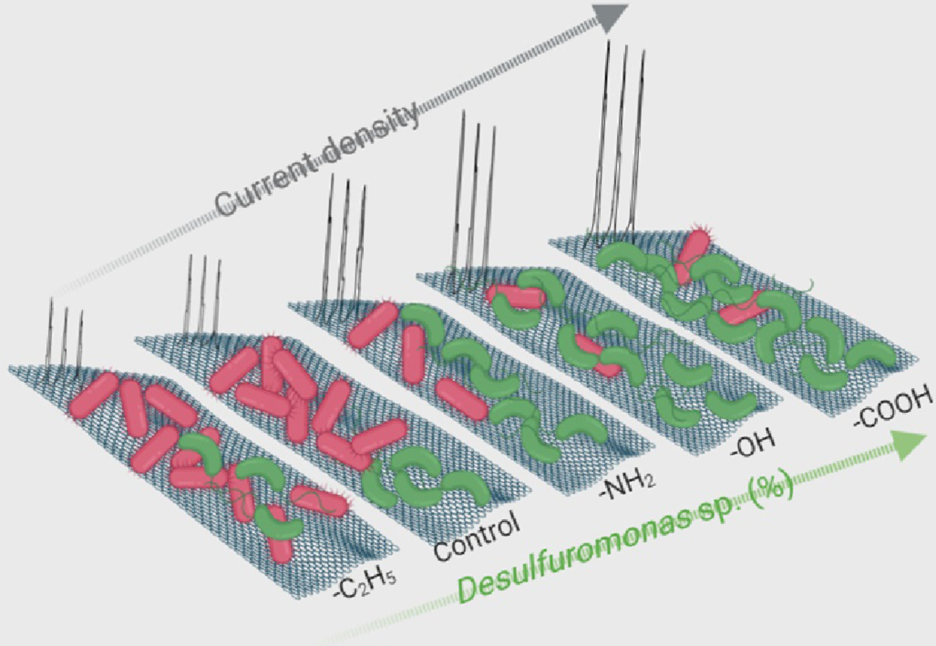 Graphical Abstract