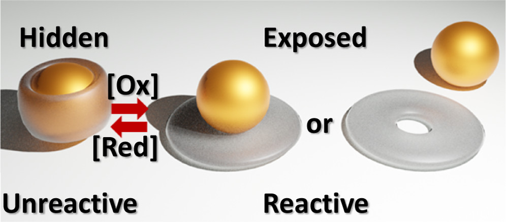 Graphical Abstract
