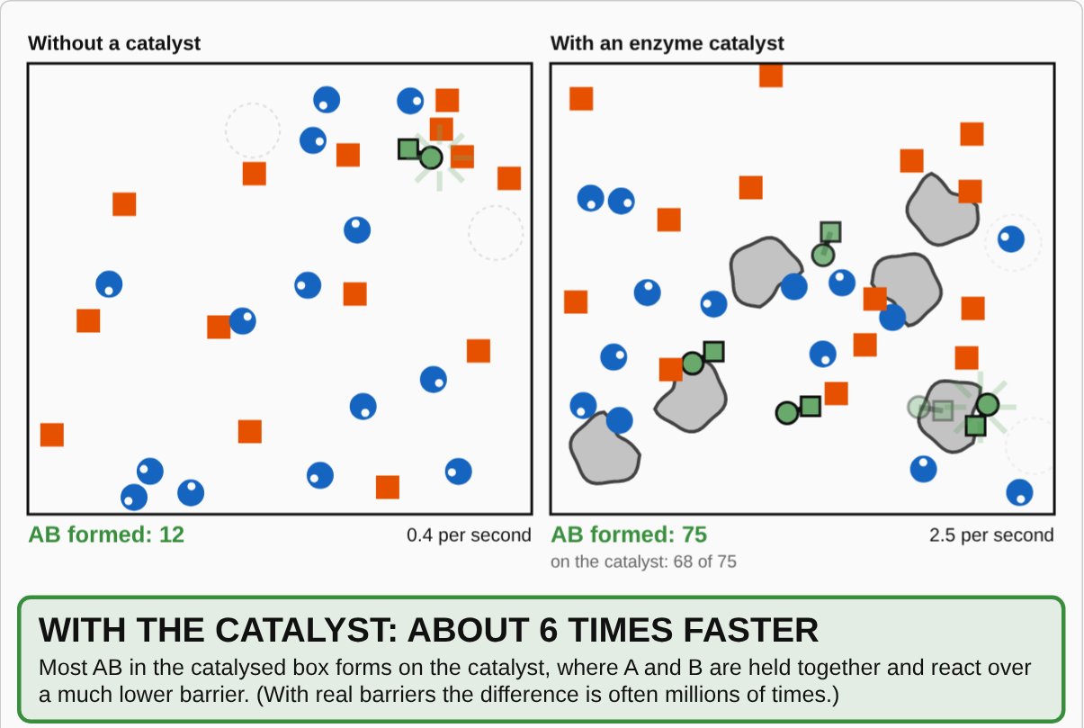 Screenshot of Catalysts and Activation Energy