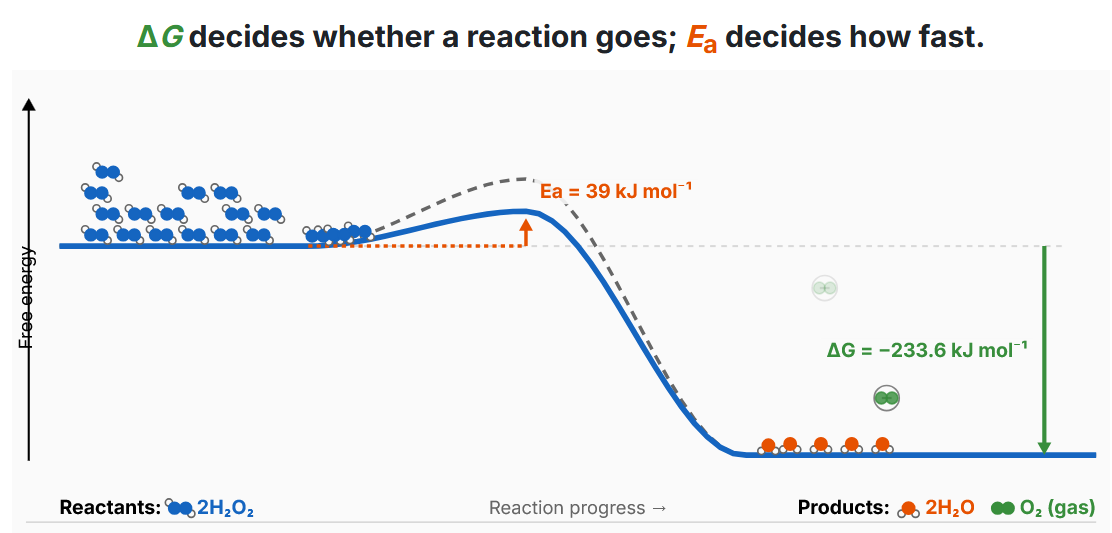 Screenshot of Spontaneity and Rate: ΔG and Activation Energy